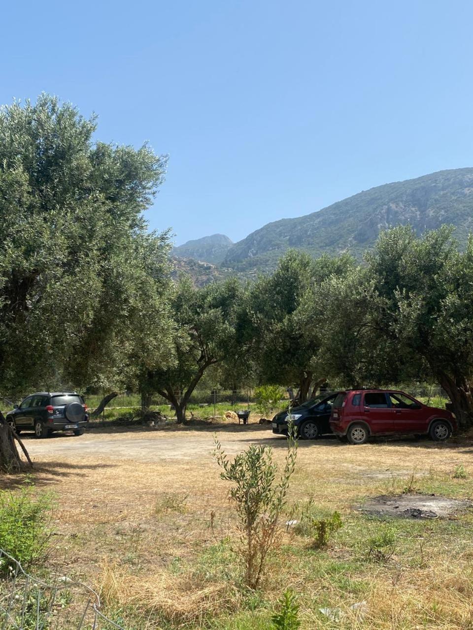 Irini'S Guesthouse ケパロ エクステリア 写真