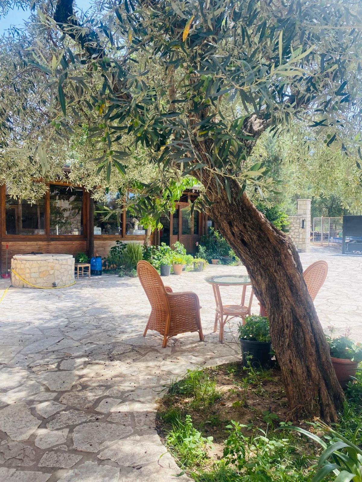 Irini'S Guesthouse ケパロ エクステリア 写真
